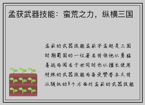 孟获武器技能：蛮荒之力，纵横三国